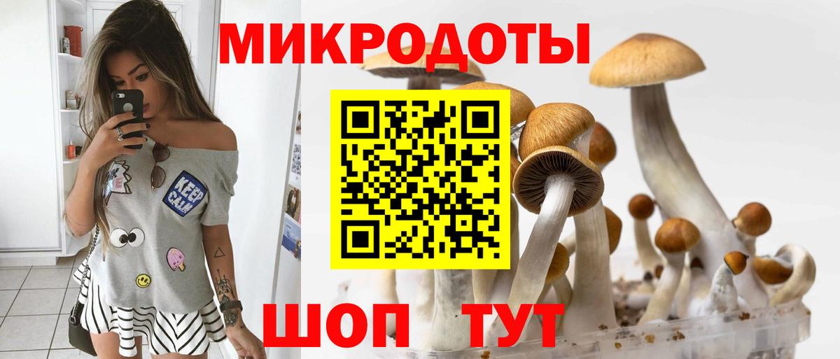 Псилоцибиновые грибы MAGIC MUSHROOMS  Галлюциногенные грибы Magic Shrooms  Вход с VPN  Урус-Мартан 